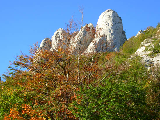 DSCN4982