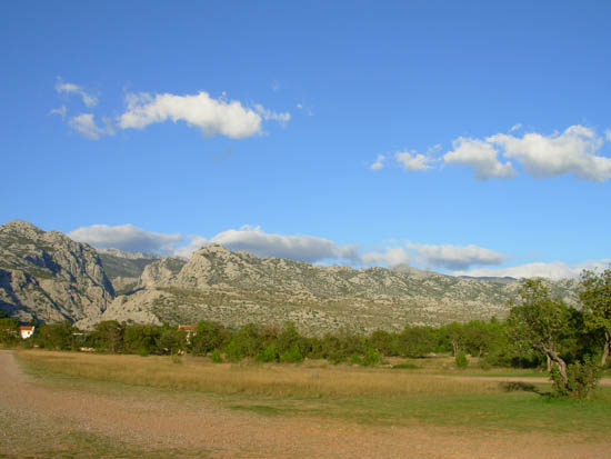 DSCN5013