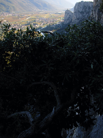 DSCN0052