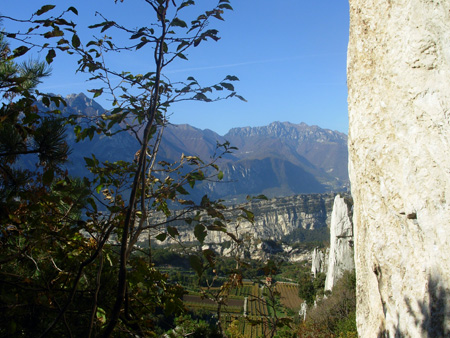 DSCN0064