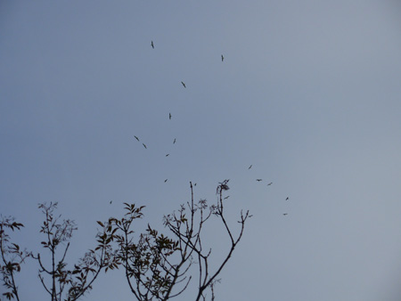 DSCN0117