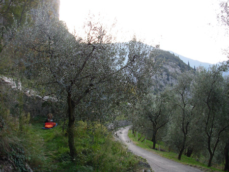 DSCN0123