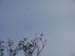 DSCN0117