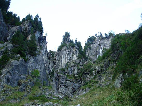 DSCN4715
