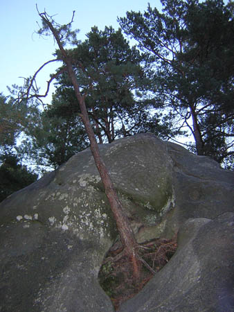 DSCN1185