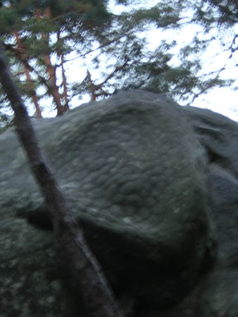 DSCN1187