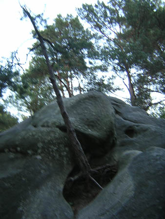 DSCN1188