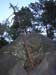 DSCN1185