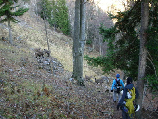 DSCN0175