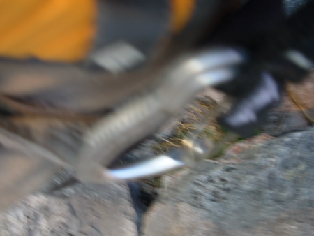 DSCN5521