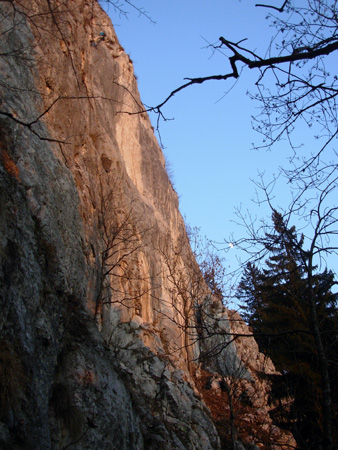 DSCN5525