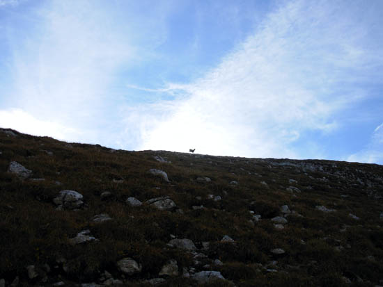 DSCN5083