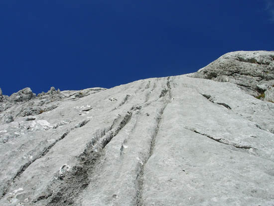 DSCN5105